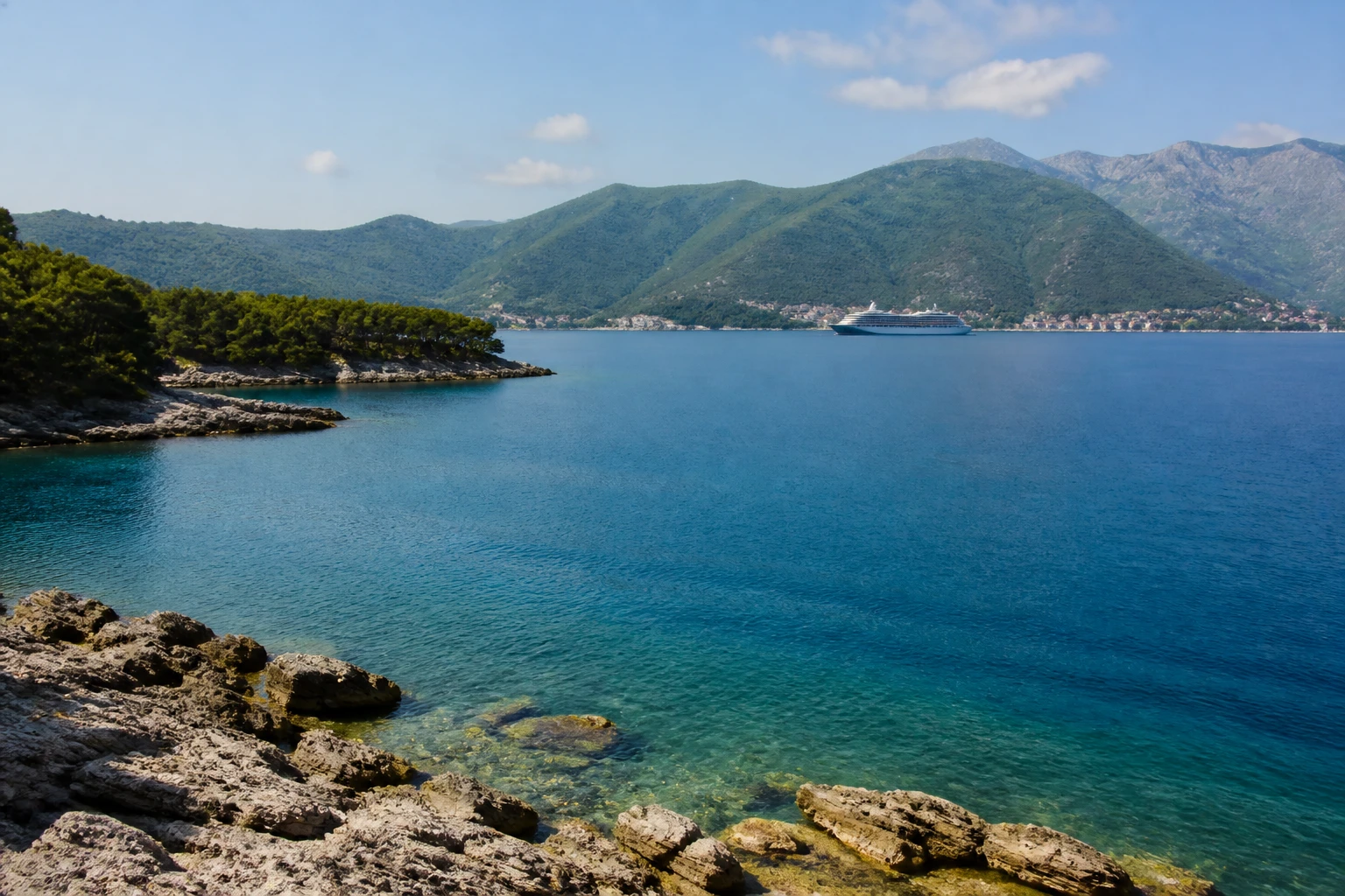 Representative coastal destination view: Montenegro Adriatic Coast; coastline and regional vegetation, not an exact landmark photograph.
