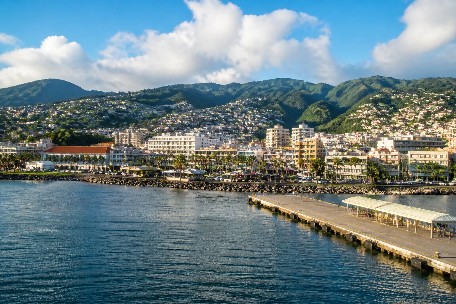 Representative cruise port destination view: Fort-de-France; passenger waterfront and harbor water, not an exact landmark photograph.