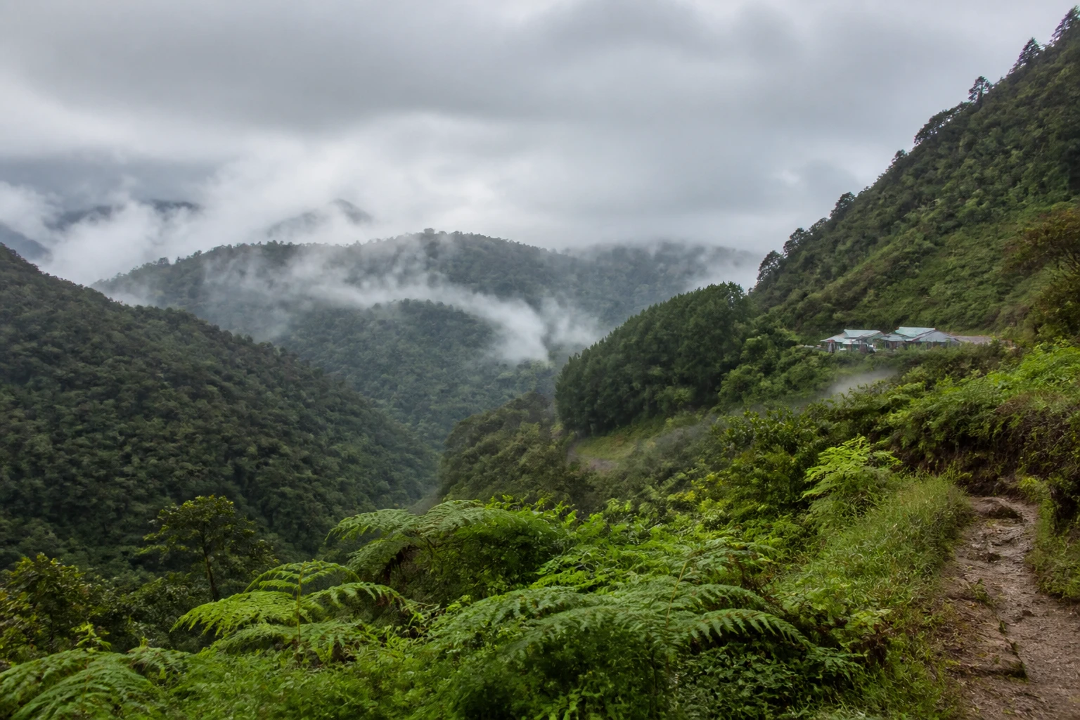Representative mountain destination view: Cameron Highlands, Malaysia; mountain or canyon terrain and regional vegetation, not an exact landmark photograph.