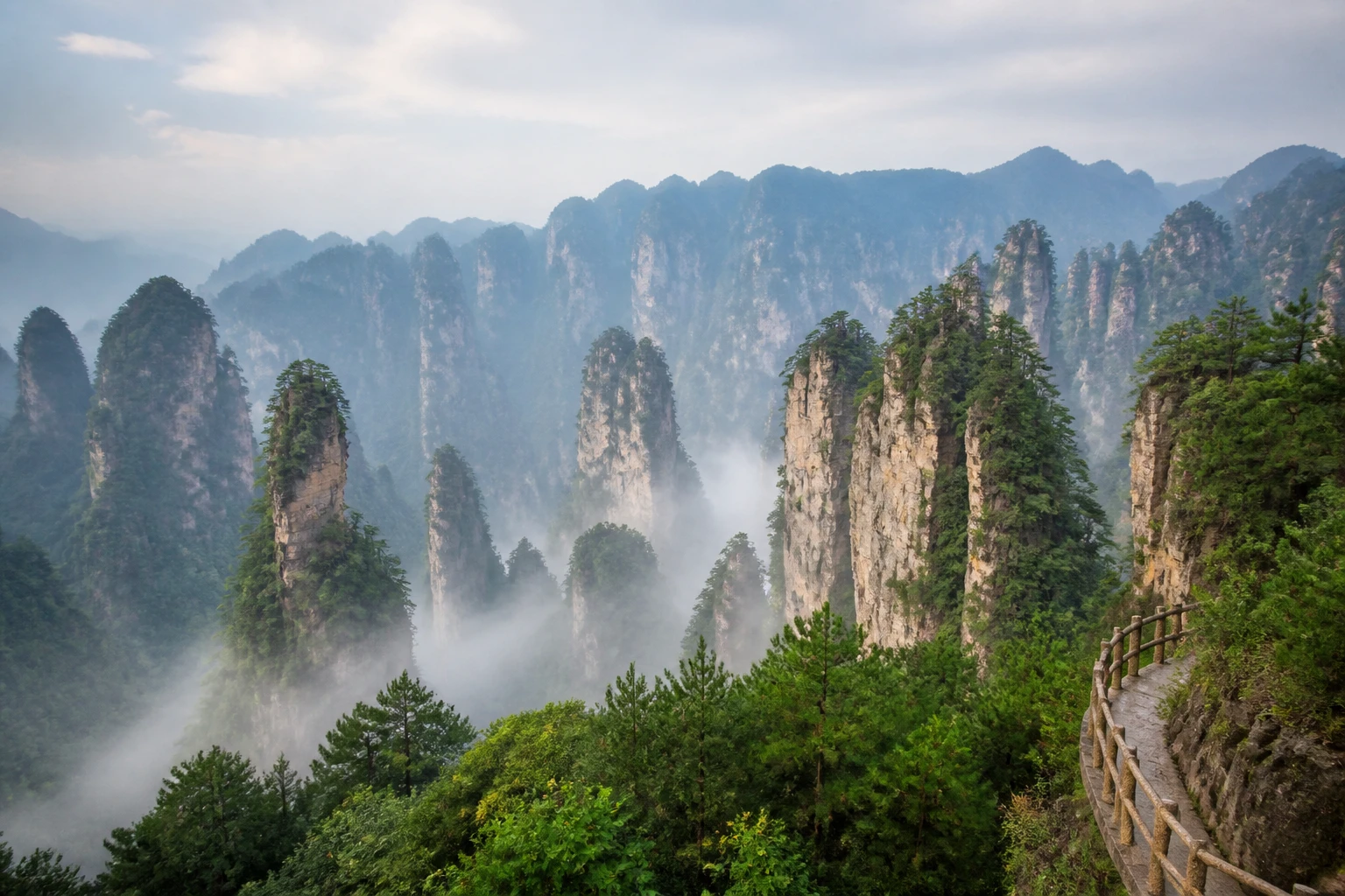 Representative national park destination view: Zhangjiajie, China; protected terrain and native vegetation, not an exact landmark photograph.