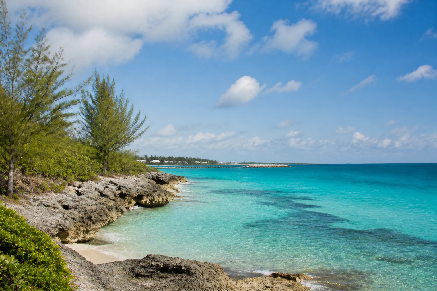 Representative island destination view: Freeport and Grand Bahama, Bahamas; coastline and regional vegetation, not an exact landmark photograph.