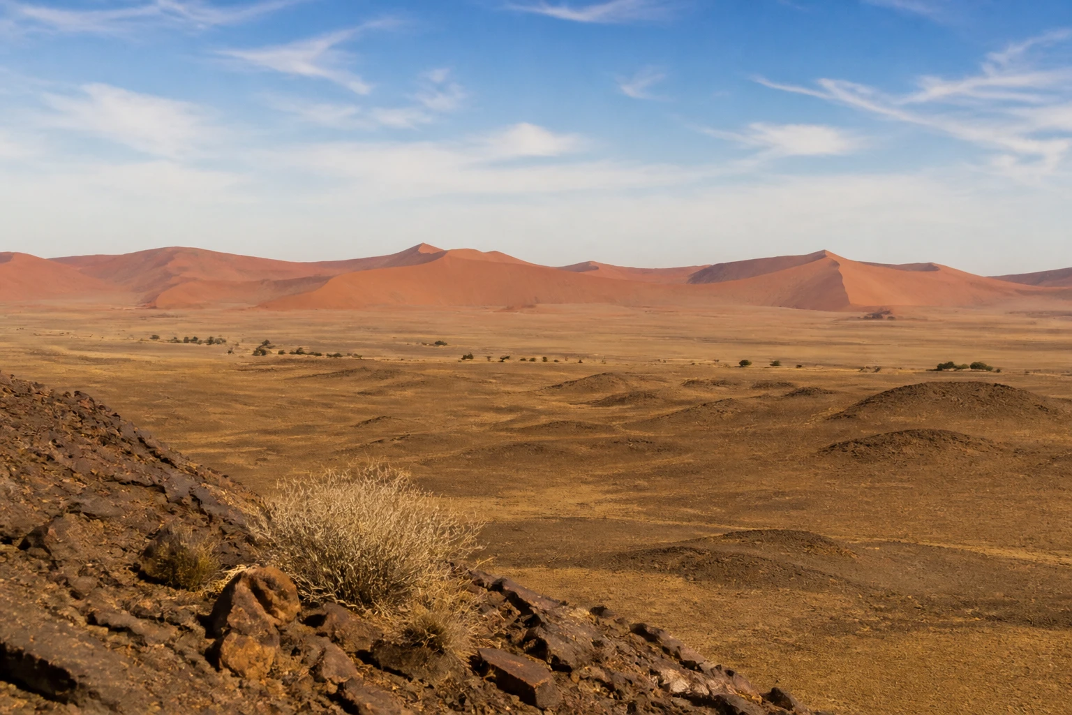 Representative desert destination view: Sossusvlei and Namibia; desert terrain and sparse vegetation, not an exact landmark photograph.