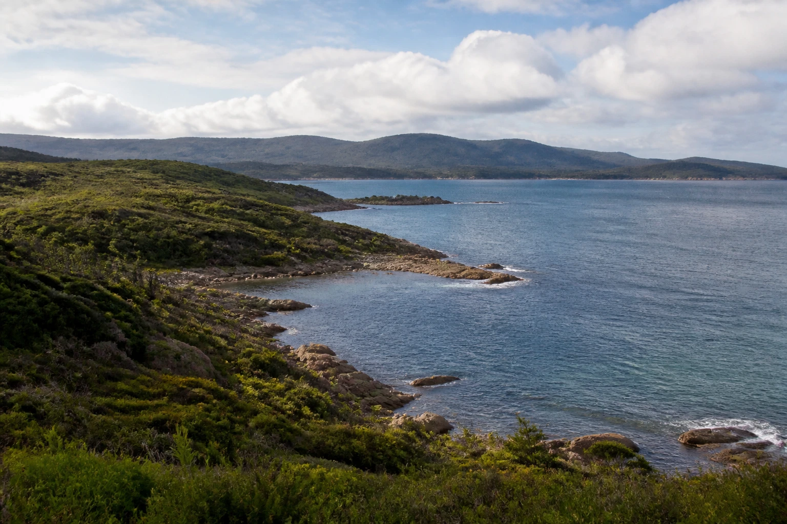 Representative cruise port destination view: Stewart Island, New Zealand; coastline and regional vegetation, not an exact landmark photograph.