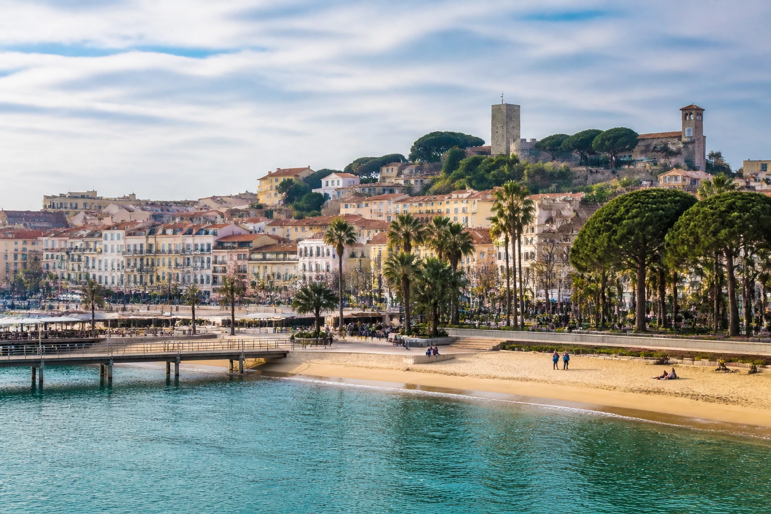 Representative coastal destination view: Cannes, France; coastline and regional vegetation, not an exact landmark photograph.