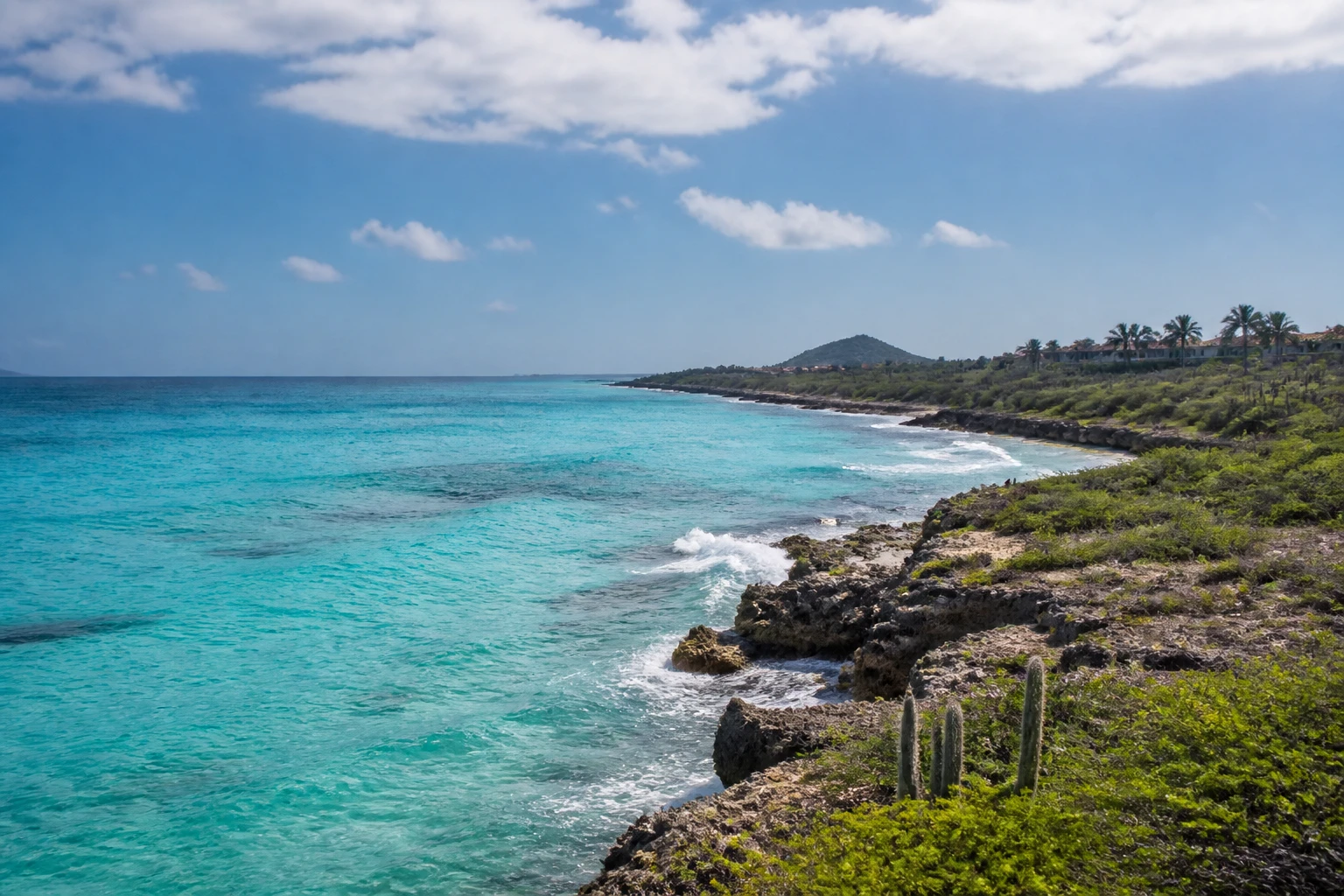 Representative island destination view of Aruba, with coastline, shoreline geology, regional vegetation, and natural light; not an exact landmark photograph.