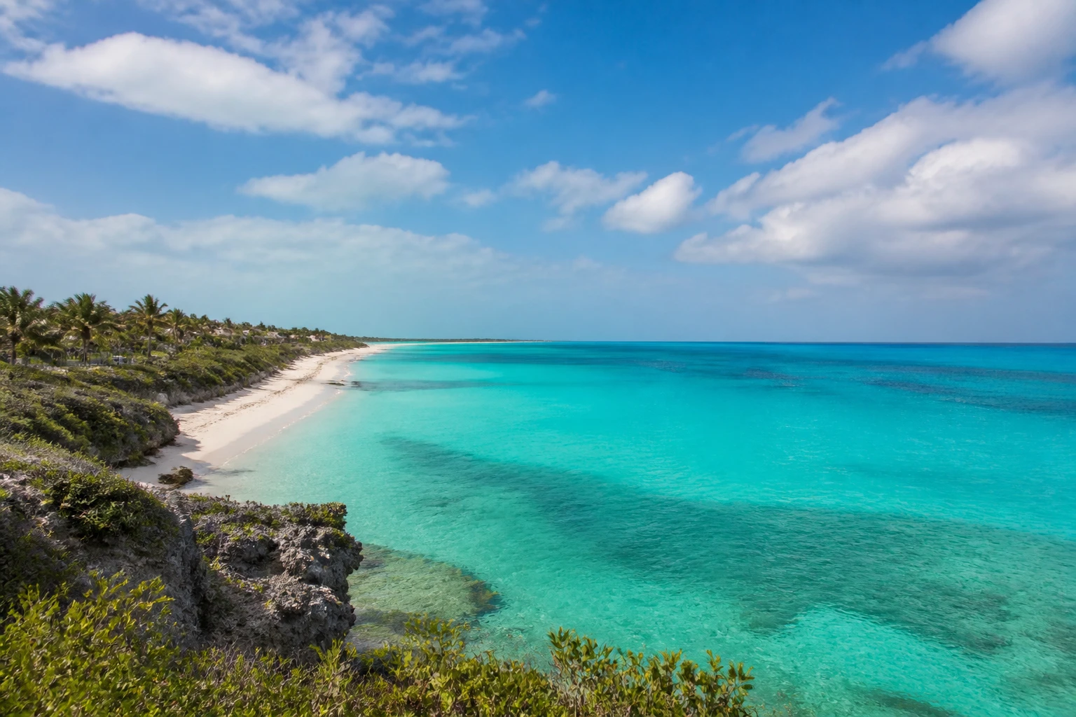 Representative island destination view: Turks and Caicos; coastline and regional vegetation, not an exact landmark photograph.