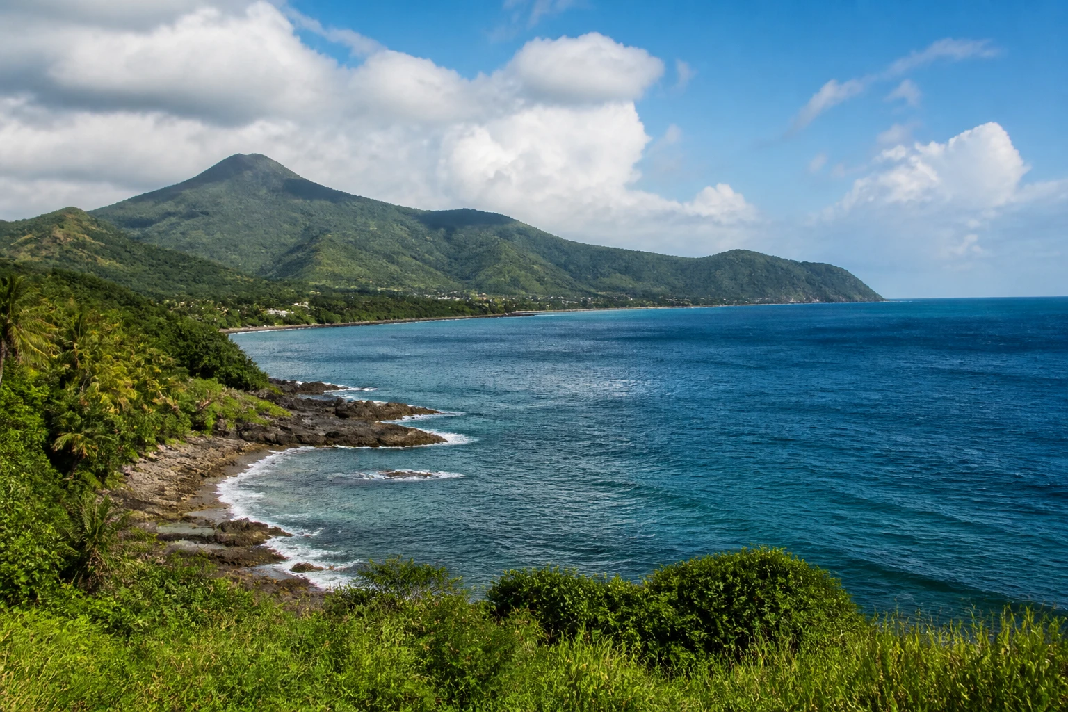 Representative island destination view: Martinique, France; coastline and regional vegetation, not an exact landmark photograph.