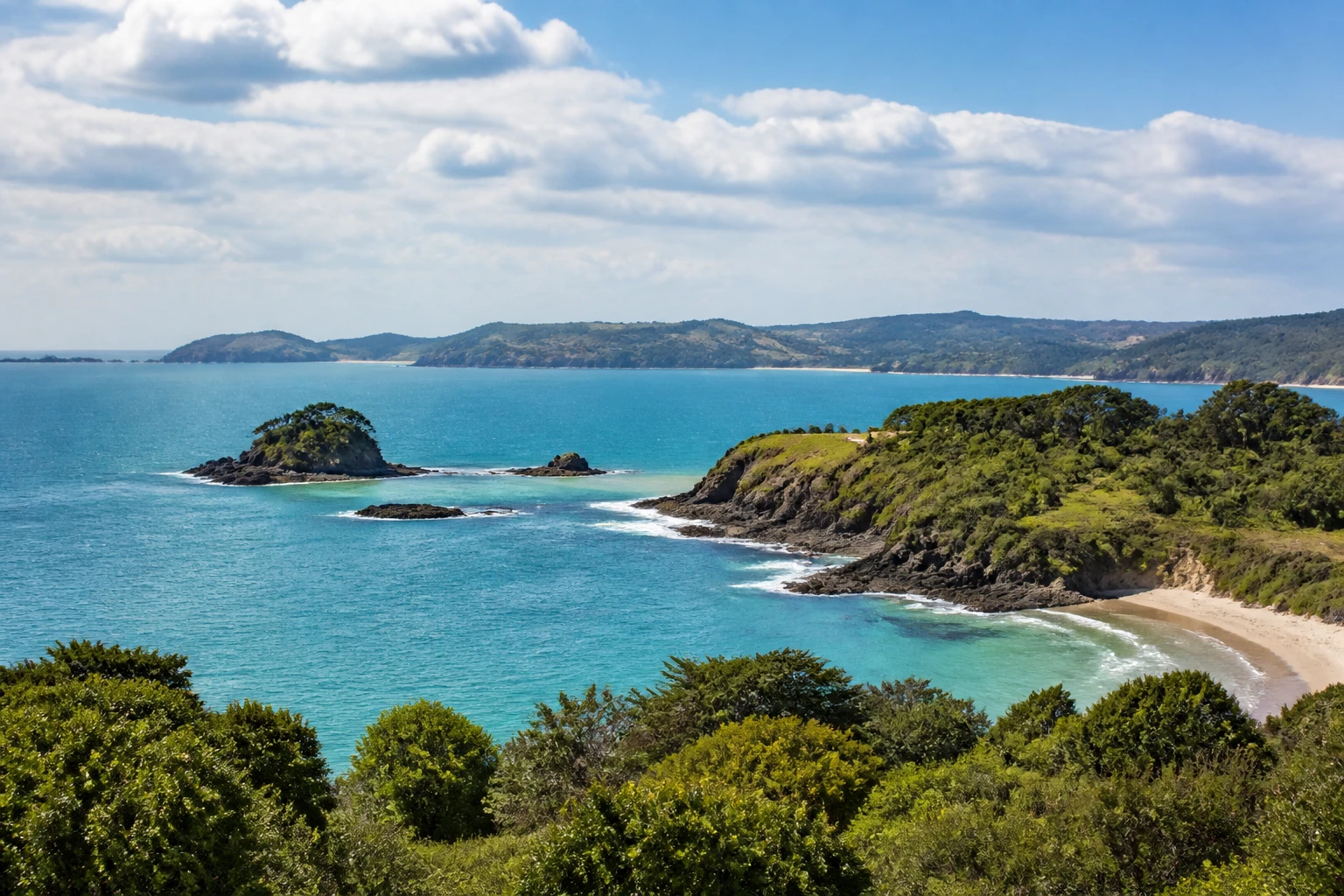 Representative coastal destination view: Bay of Islands, New Zealand; coastline and regional vegetation, not an exact landmark photograph.