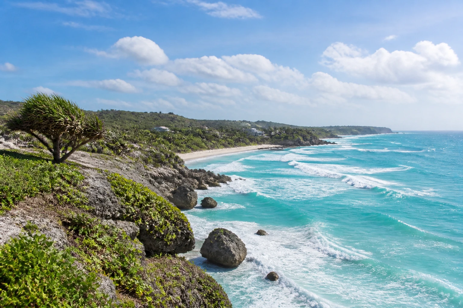 Representative island destination view of Barbados, with coastline, shoreline geology, regional vegetation, and natural light; not an exact landmark photograph.