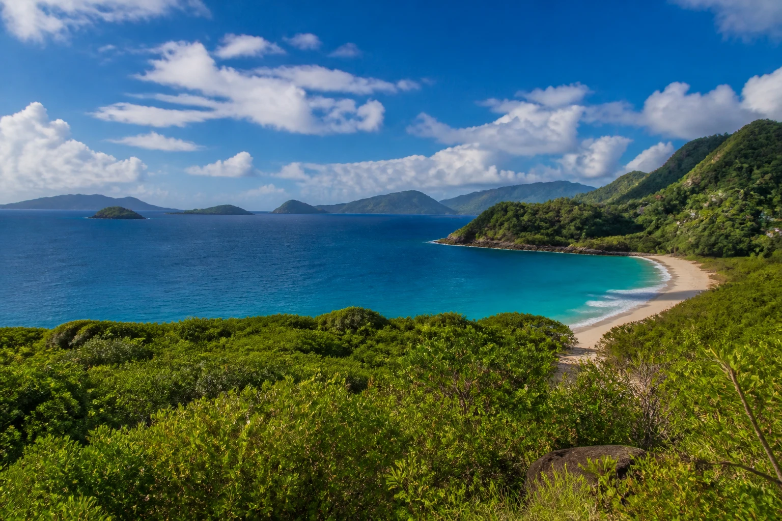 Representative island destination view: Saint Vincent and the Grenadines; coastline and regional vegetation, not an exact landmark photograph.