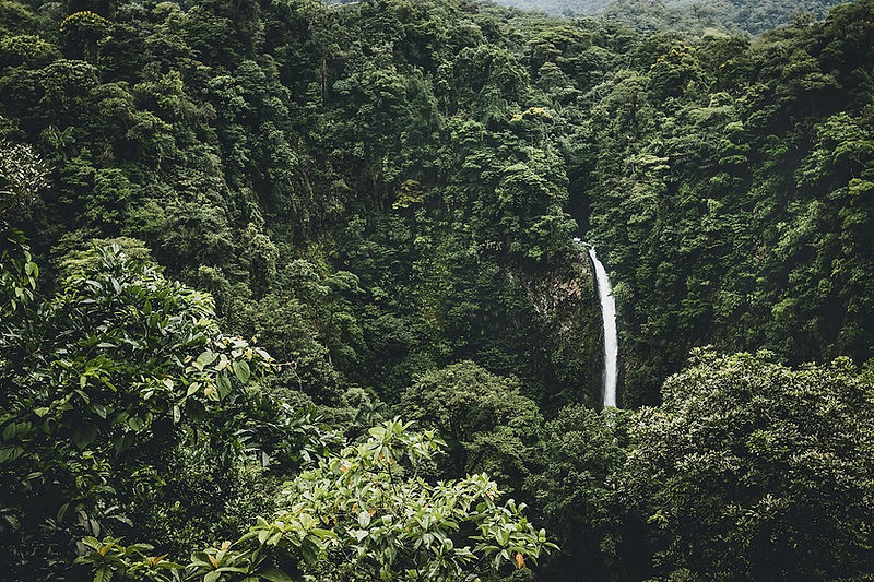 Costa Rica Rainforest Waterfall, a destination or experience featured on the Costa Rica: Coast to Coast Globus tour