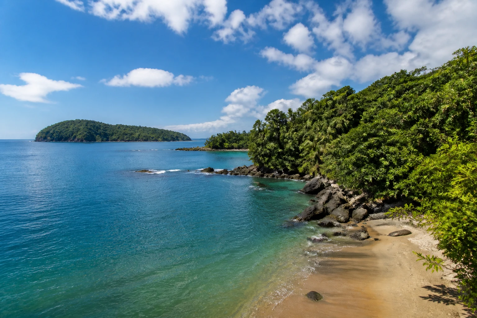 Representative island destination view: Trinidad and Tobago; coastline and regional vegetation, not an exact landmark photograph.