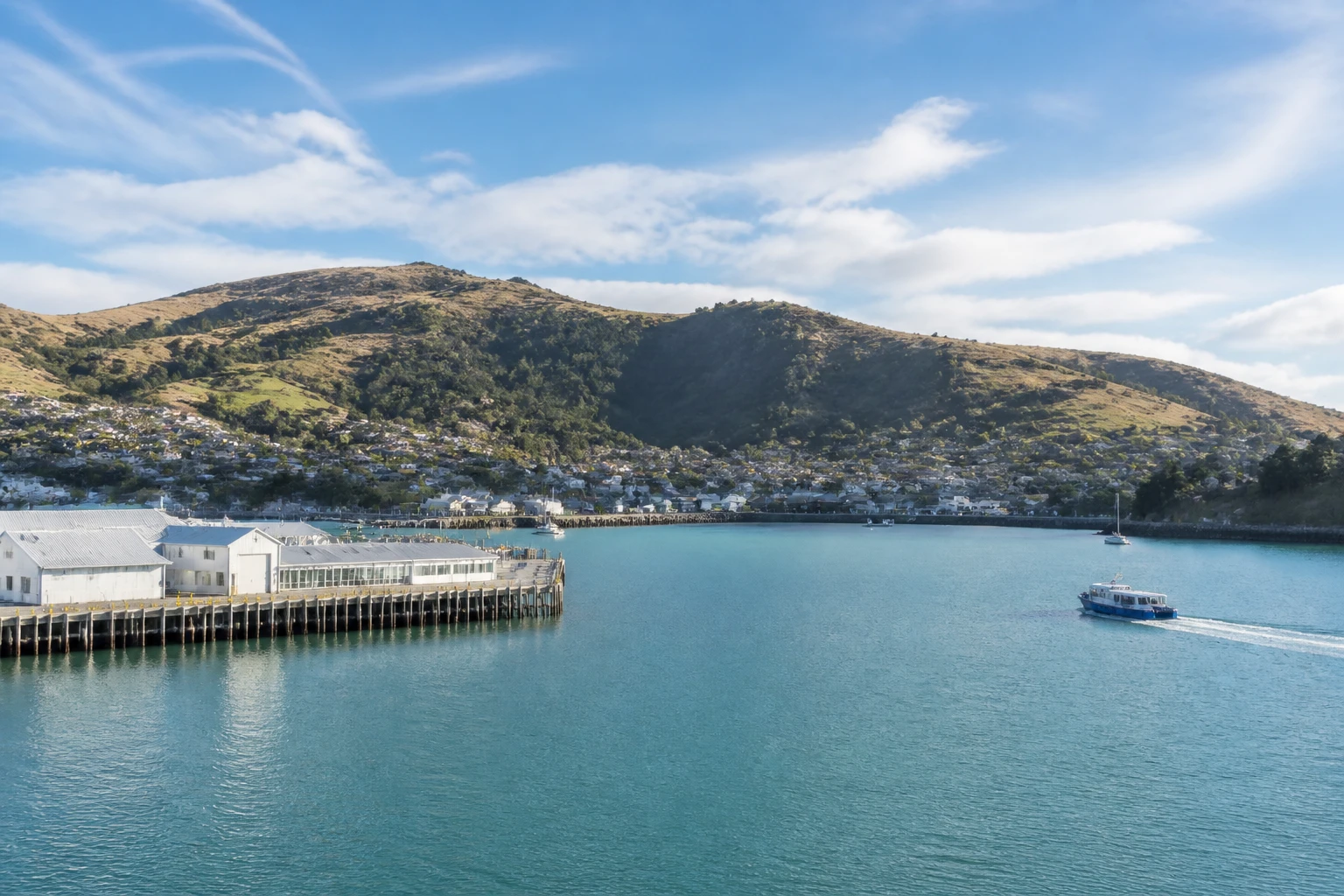 Representative cruise port destination view: Lyttelton, New Zealand; passenger waterfront and harbor water, not an exact landmark photograph.