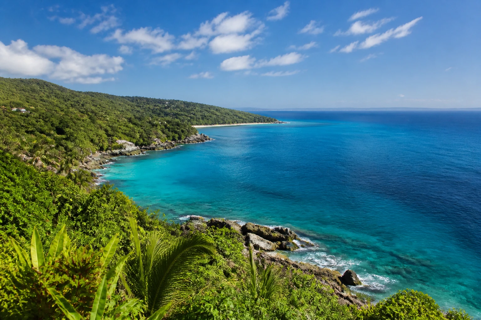 Representative island destination view of Jamaica, with coastline, shoreline geology, regional vegetation, and natural light; not an exact landmark photograph.