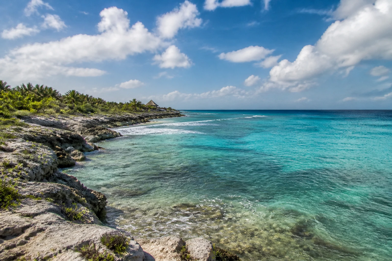 Representative island destination view: Cozumel, Mexico; coastline and regional vegetation, not an exact landmark photograph.
