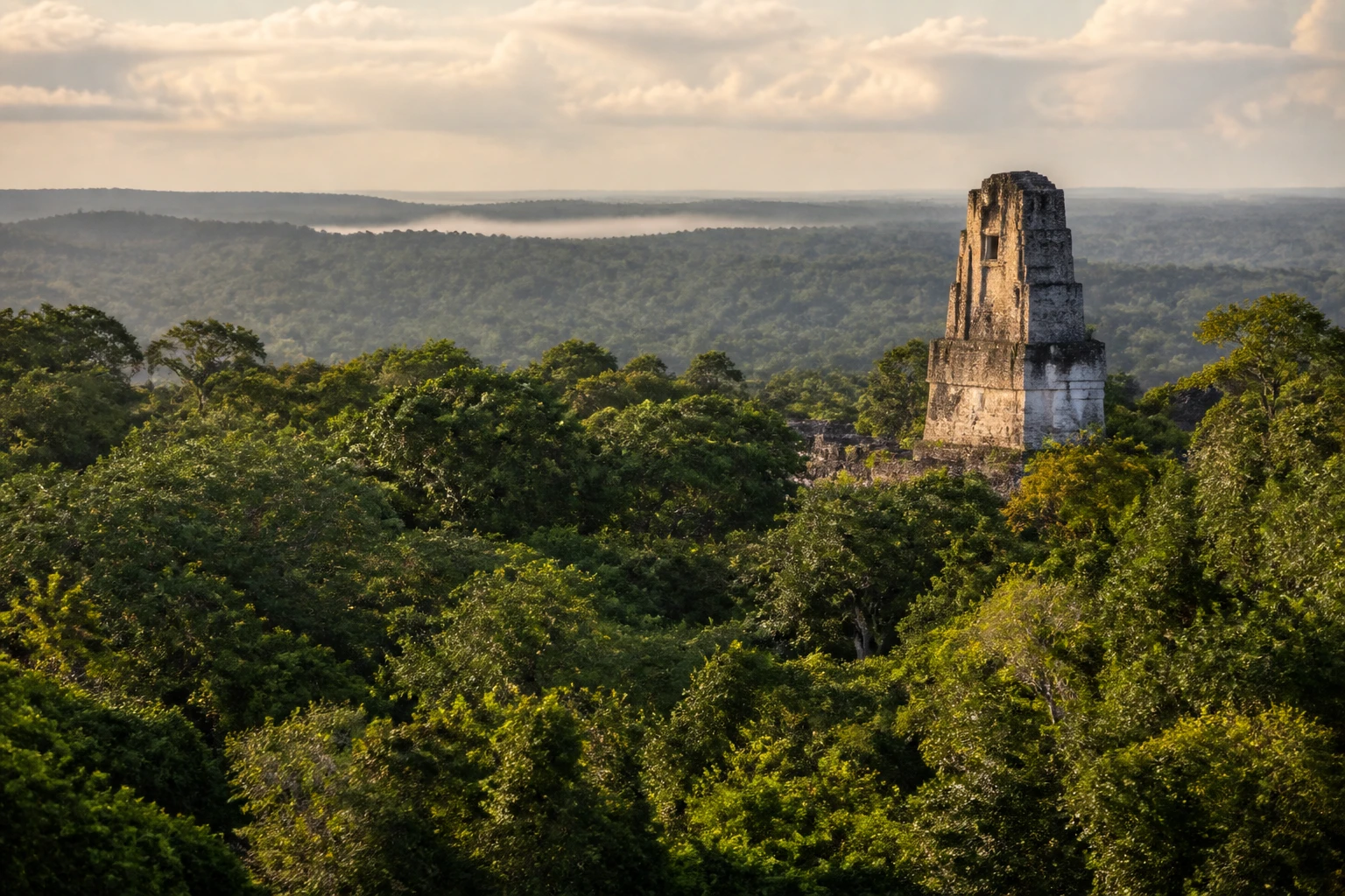 Representative nature destination view: Tikal, Guatemala; dense forest vegetation and layered terrain, not an exact landmark photograph.