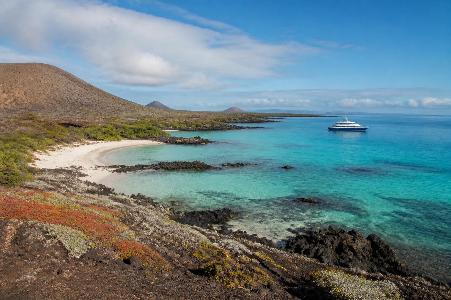 Representative island destination view: Galapagos Islands, Ecuador; coastline and regional vegetation, not an exact landmark photograph.