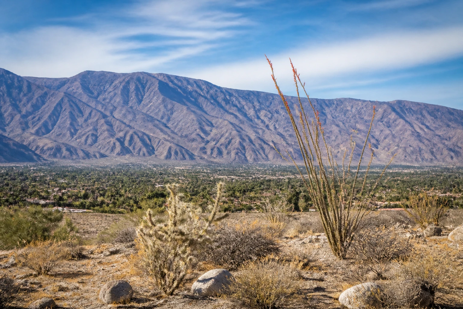 Representative desert destination view: Palm Springs, United States; desert terrain and sparse vegetation, not an exact landmark photograph.