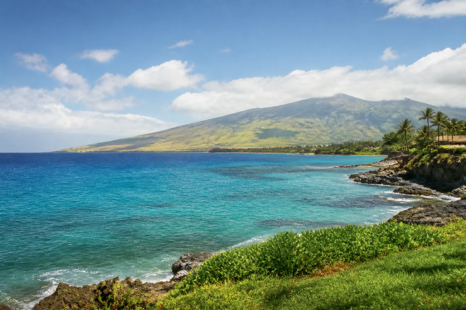 Representative island destination view: Maui, United States; coastline and regional vegetation, not an exact landmark photograph.