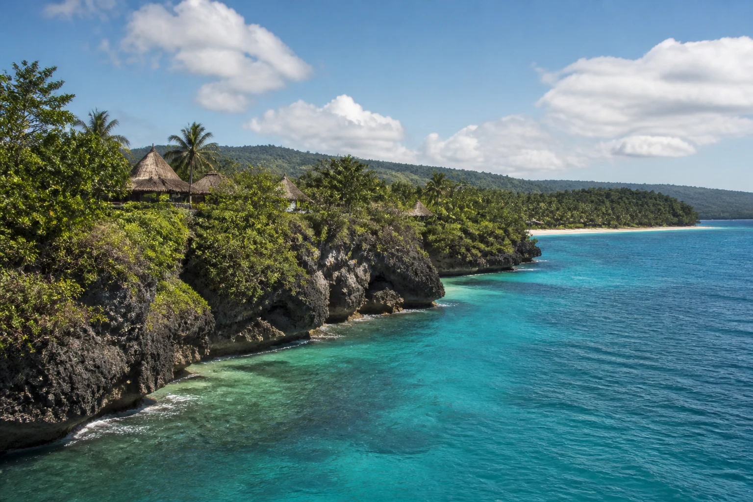 Representative island destination view of Vanuatu, with coastline, shoreline geology, regional vegetation, and natural light; not an exact landmark photograph.
