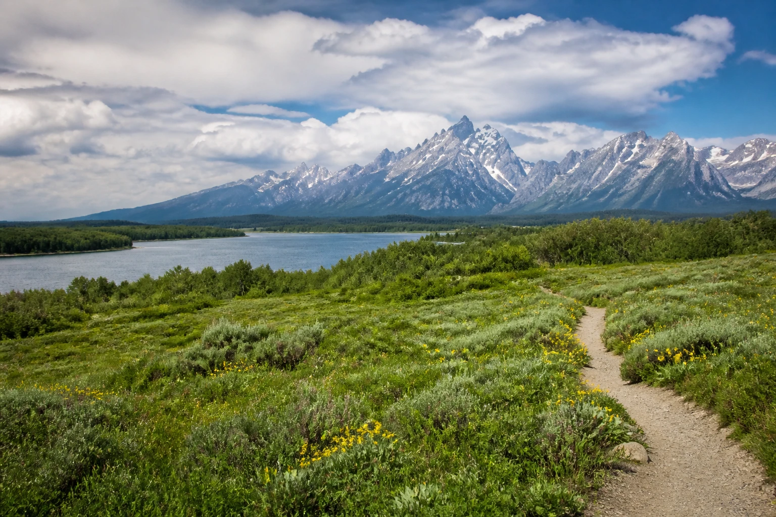 Representative national park destination view: Jackson Hole and Grand Teton, United States; protected terrain and native vegetation, not an exact landmark photograph.