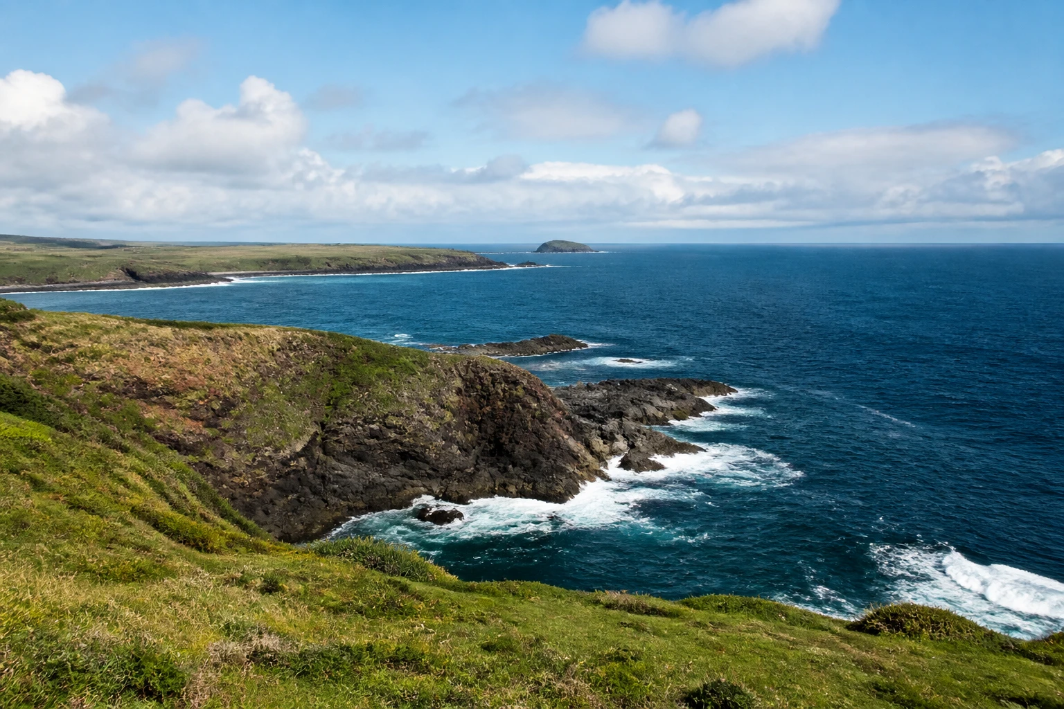 Representative cruise port destination view: Phillip Island, Australia; coastline and regional vegetation, not an exact landmark photograph.