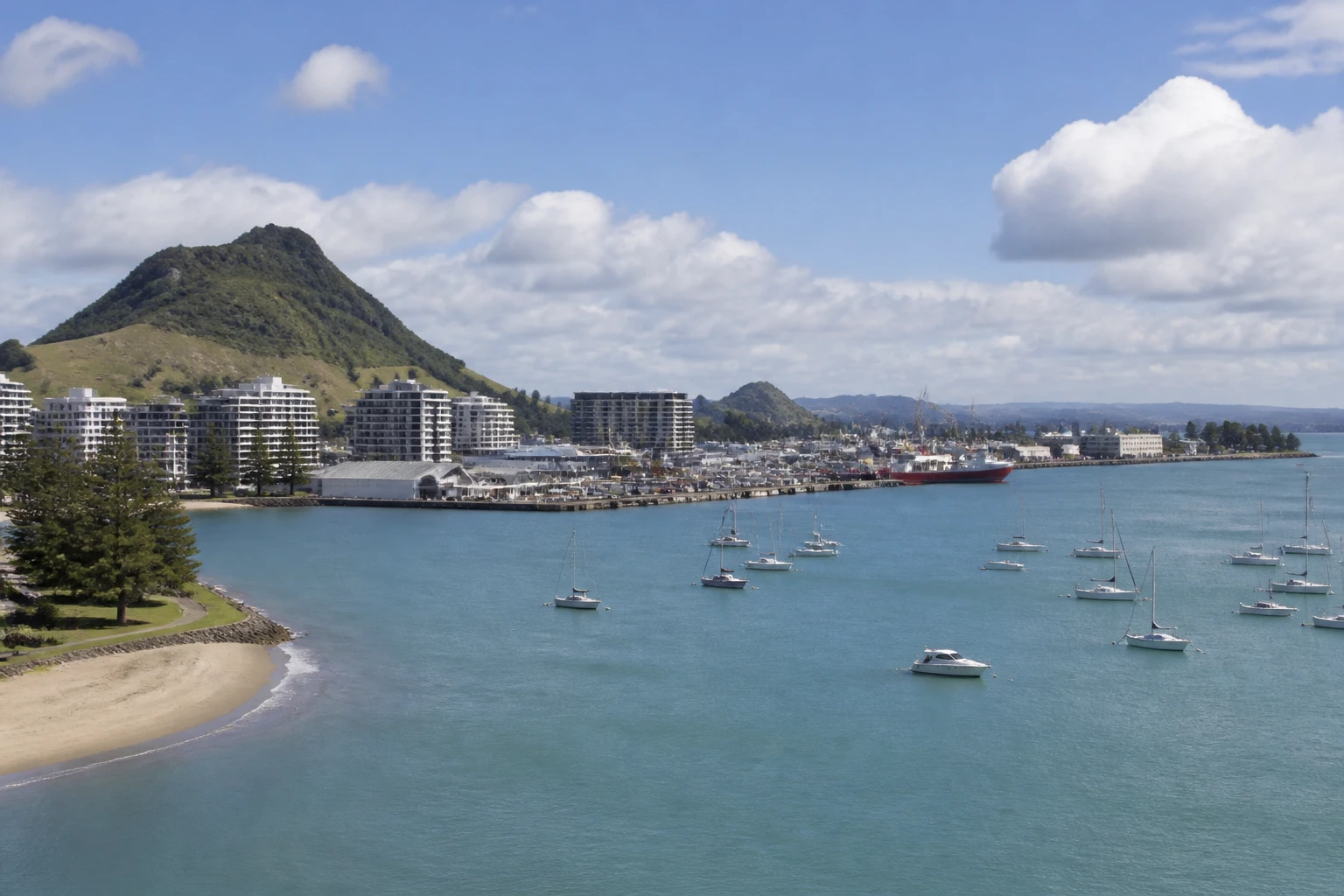 Representative cruise port destination view: Tauranga, New Zealand; passenger waterfront and harbor water, not an exact landmark photograph.