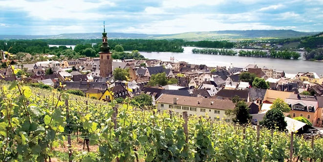 Vineyard-covered hillside overlooking Rüdesheim’s rooftops, church tower, and the Rhine River in Germany.