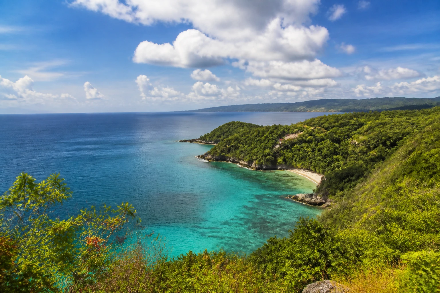 Representative island destination view: Cebu, Philippines; coastline and regional vegetation, not an exact landmark photograph.