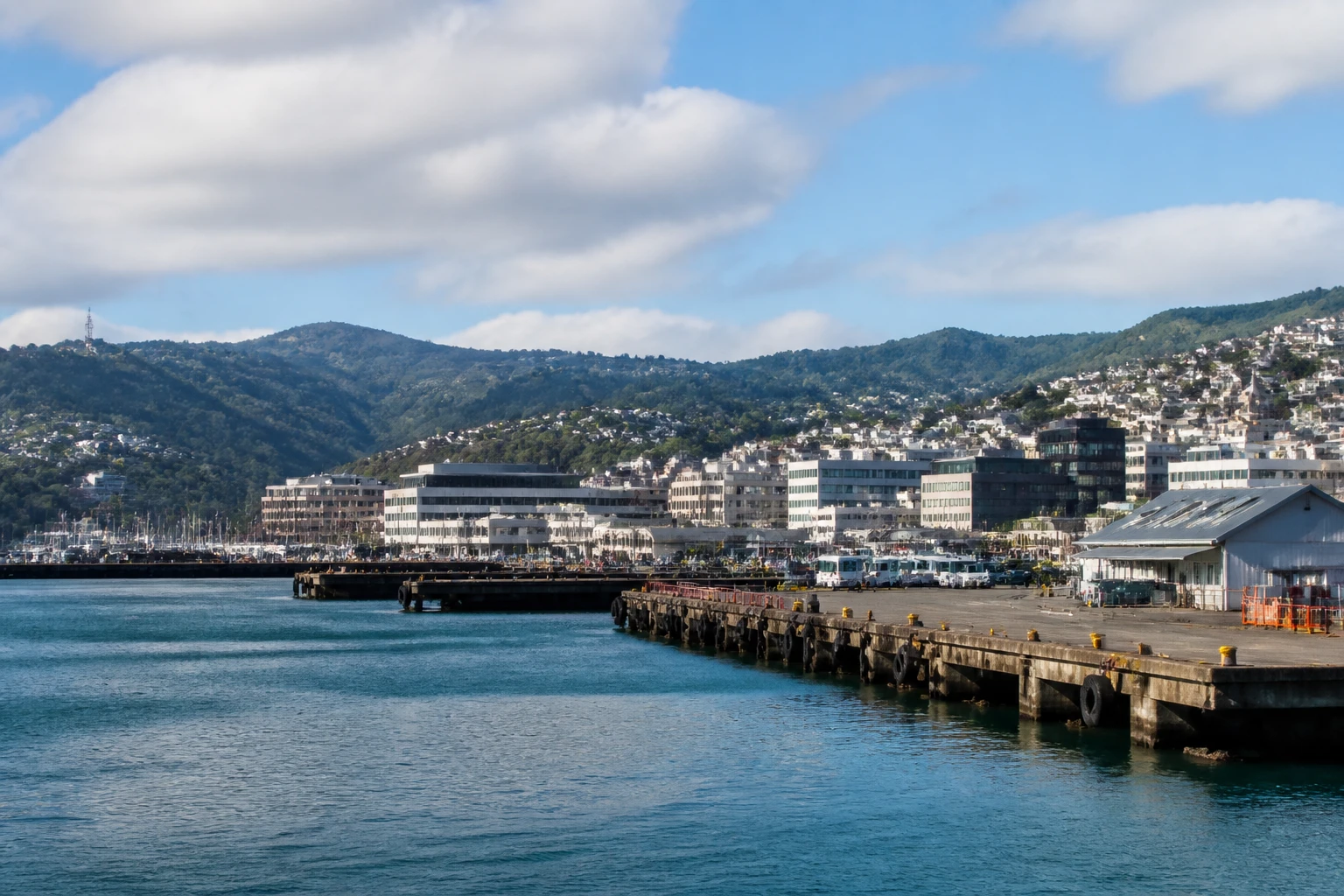 Representative cruise port destination view: Dunedin, New Zealand; passenger waterfront and harbor water, not an exact landmark photograph.