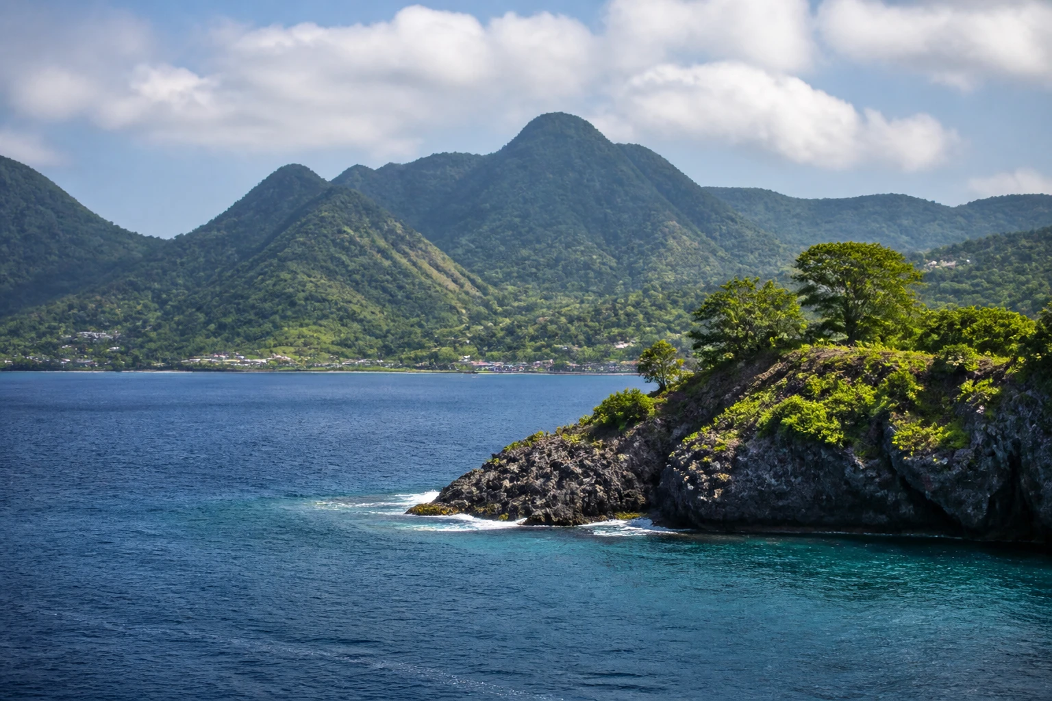 Representative island destination view of Dominica, with coastline, shoreline geology, regional vegetation, and natural light; not an exact landmark photograph.