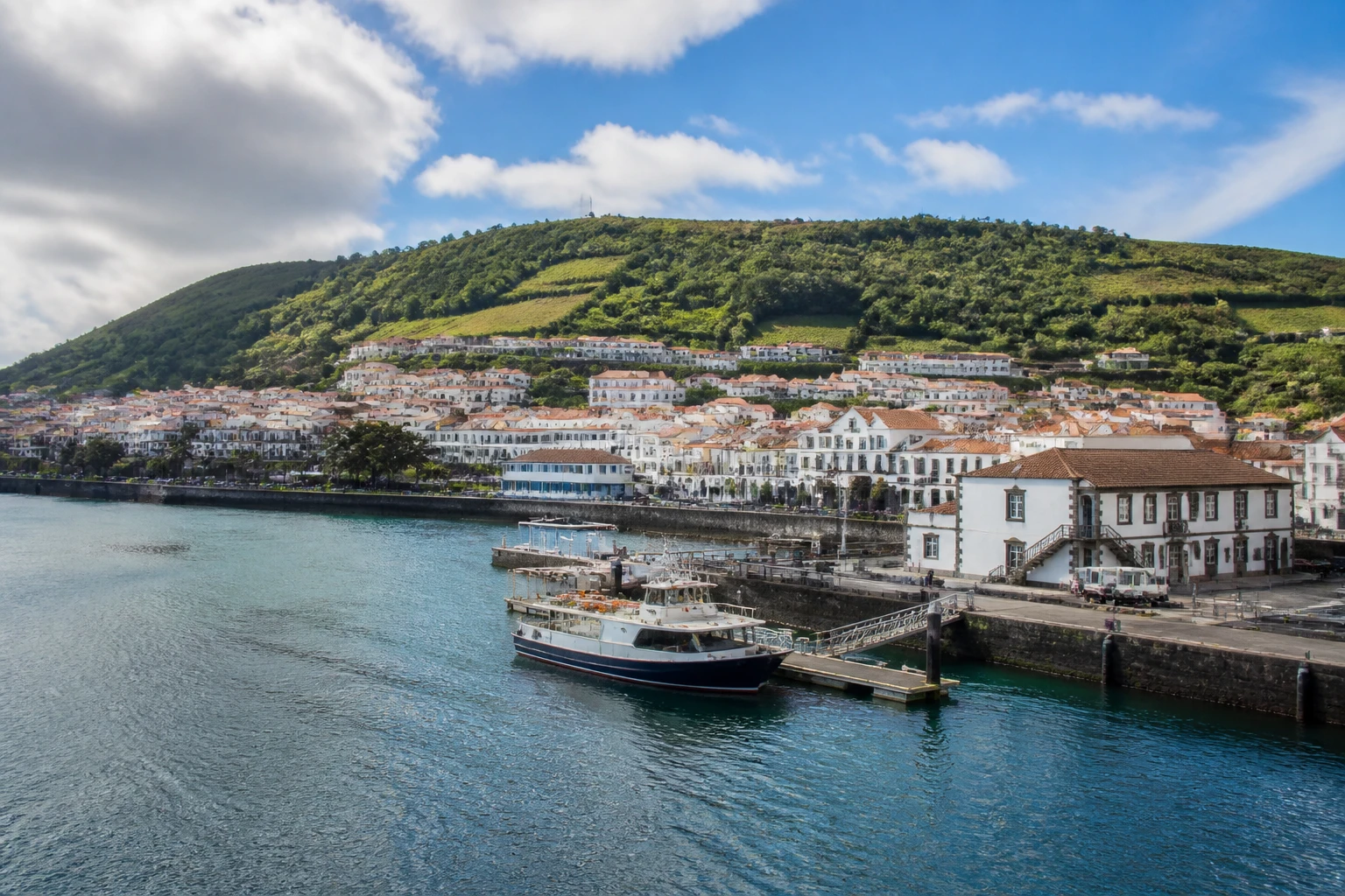 Representative cruise port destination view: Horta, Portugal; passenger waterfront and harbor water, not an exact landmark photograph.