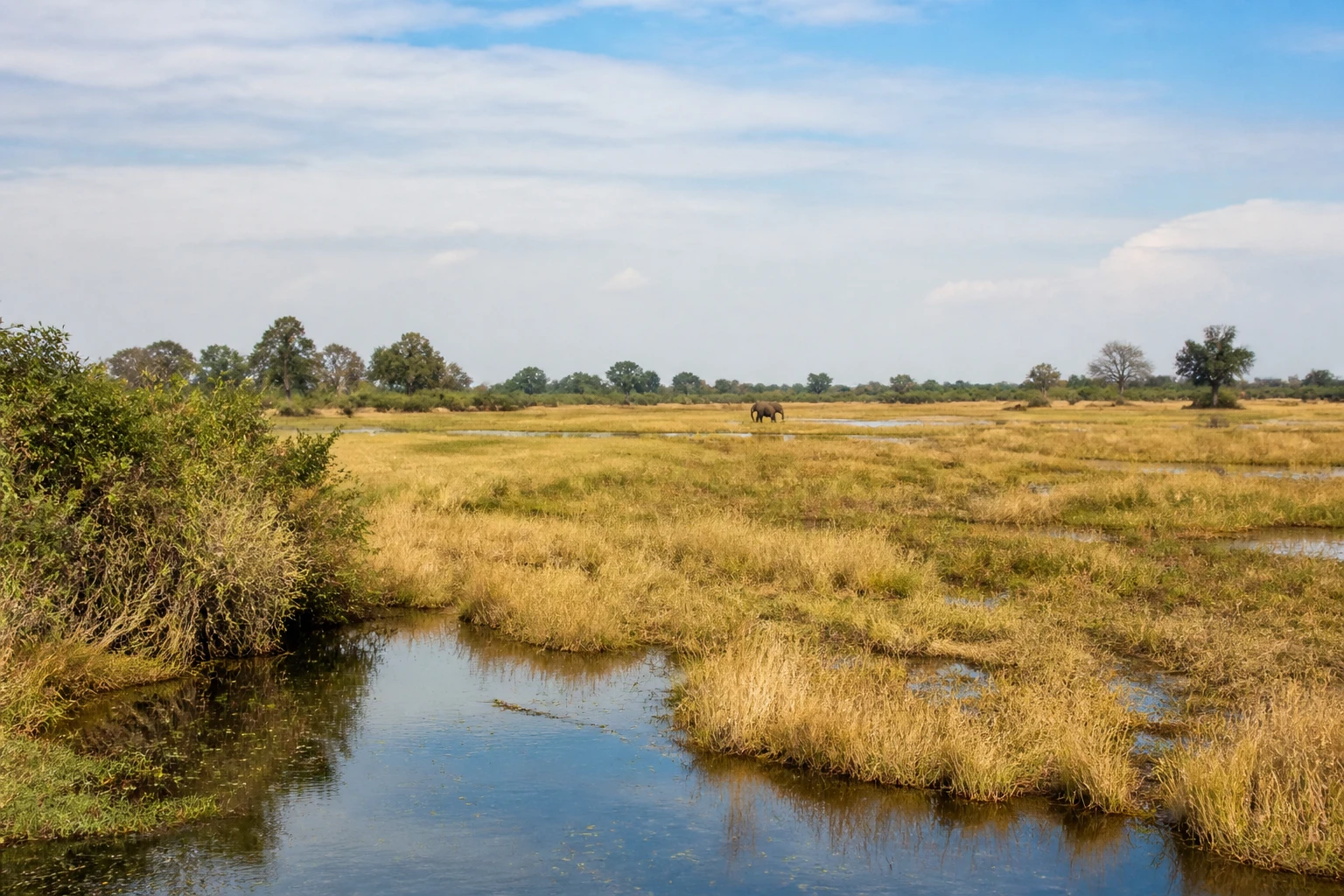 Representative nature destination view: Okavango Delta, Botswana; regional wildlife habitat and native vegetation, not an exact landmark photograph.
