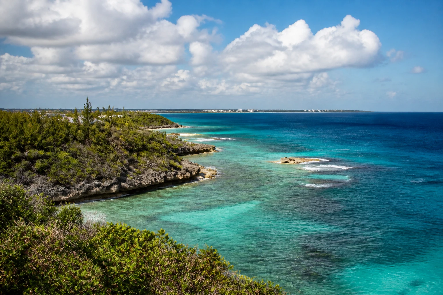 Representative island destination view: Grand Cayman, Cayman Islands; coastline and regional vegetation, not an exact landmark photograph.