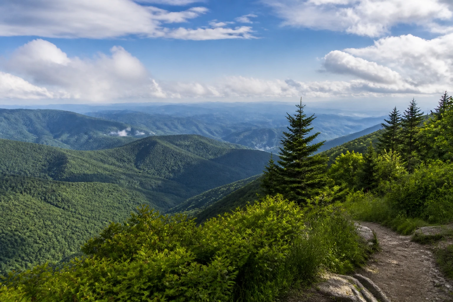 Representative national park destination view: Great Smoky Mountains, United States; protected terrain and native vegetation, not an exact landmark photograph.