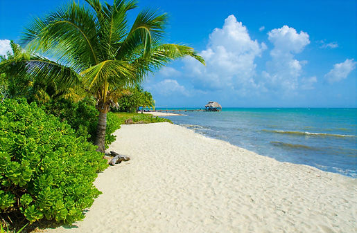 White-sand beach lined with tropical palm trees beside turquoise Caribbean waters in Belize.