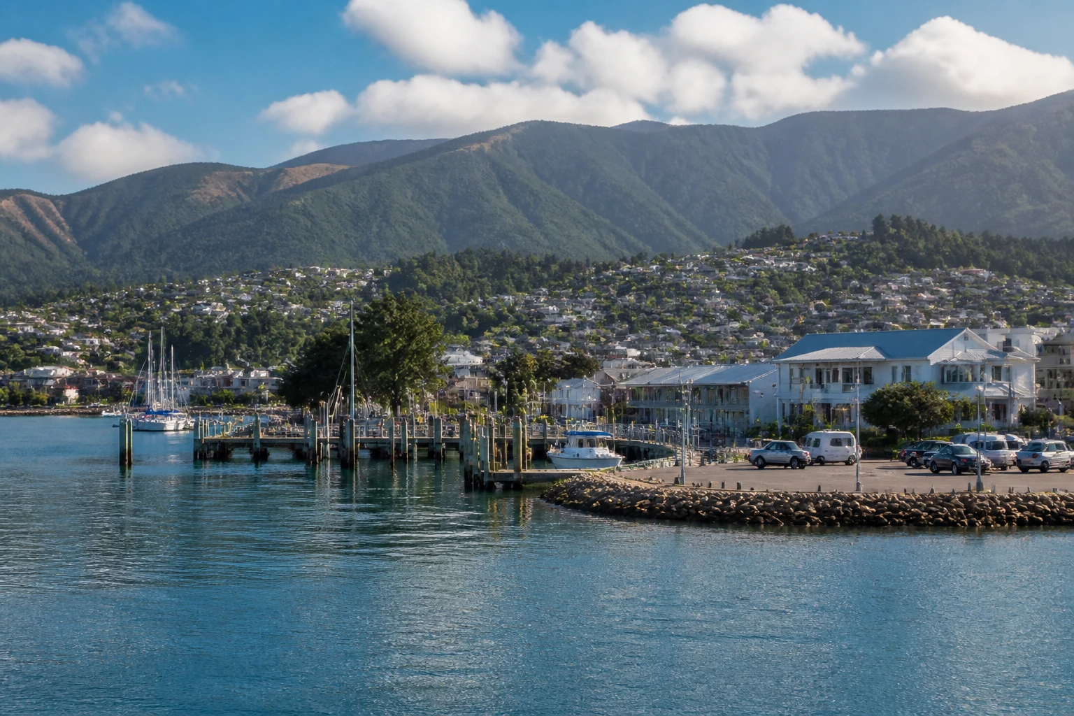Representative cruise port destination view: Nelson, New Zealand; passenger waterfront and harbor water, not an exact landmark photograph.