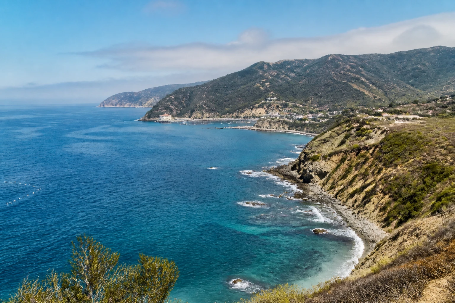 Representative cruise port destination view: Avalon, Catalina Island, United States; coastline and regional vegetation, not an exact landmark photograph.