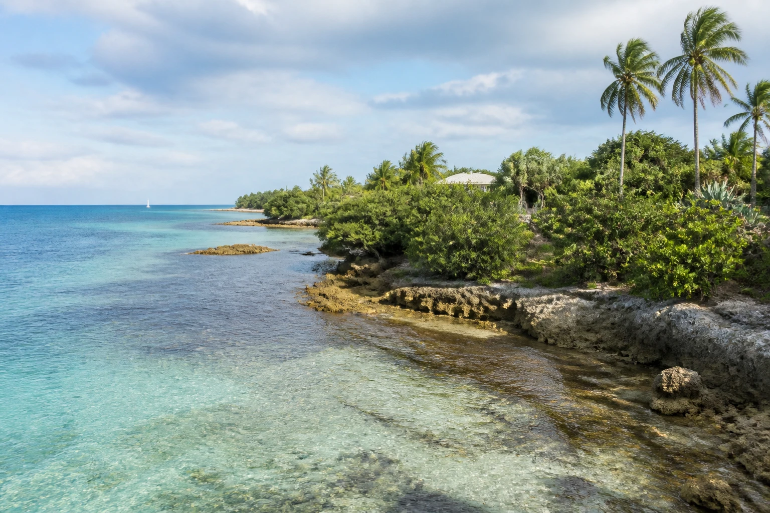 Representative island destination view: Florida Keys, United States; coastline and regional vegetation, not an exact landmark photograph.