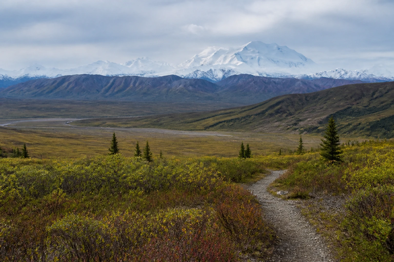 Representative national park destination view: Denali National Park, United States; protected terrain and native vegetation, not an exact landmark photograph.