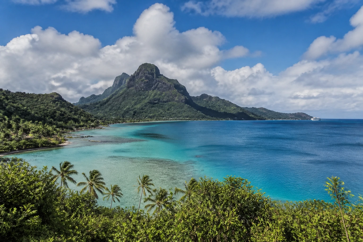 Representative island destination view: Bora Bora, French Polynesia; coastline and regional vegetation, not an exact landmark photograph.