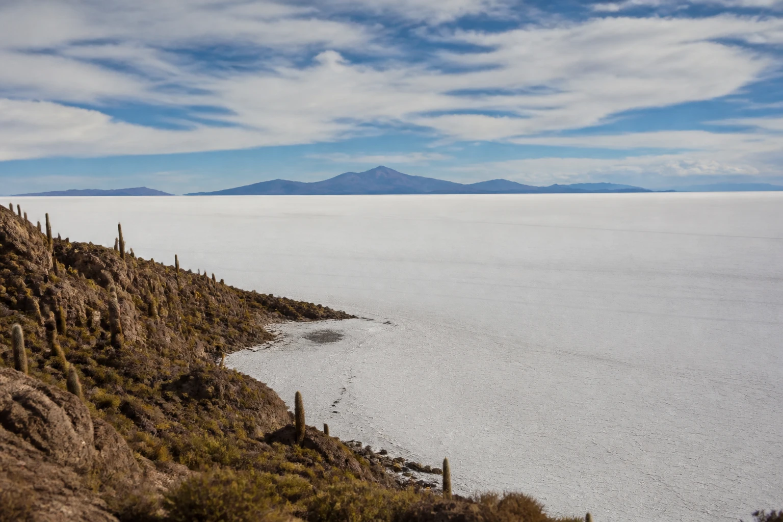 Representative nature destination view of Uyuni Salt Flats in Bolivia, with regional terrain, vegetation, and natural light; not an exact landmark photograph.