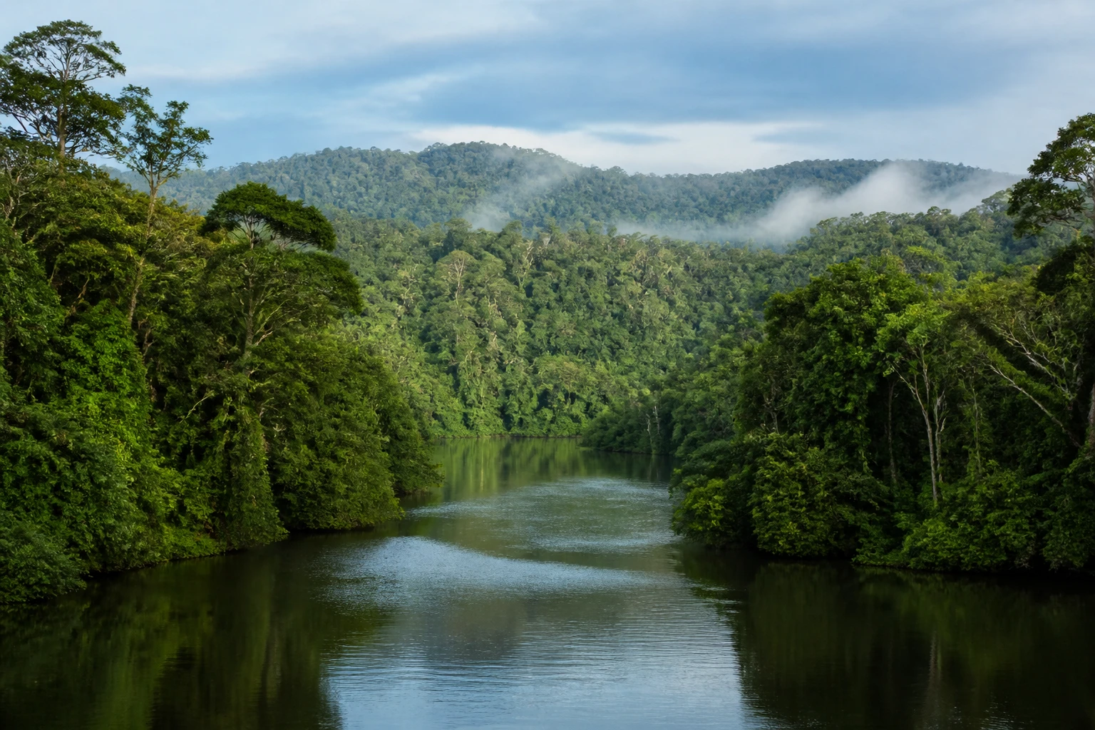 Representative nature destination view of Amazon Rainforest in Brazil / Peru / Ecuador, with dense forest vegetation, layered terrain, and humid natural light; not an exact landmark photograph.