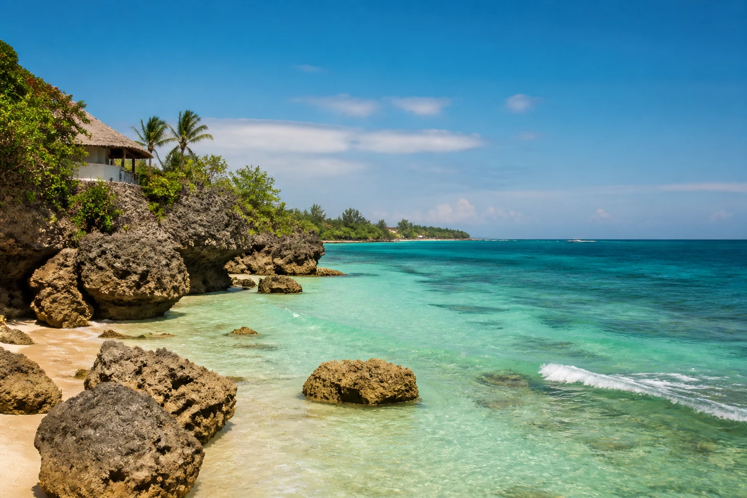Representative island destination view: Zanzibar, Tanzania; coastline and regional vegetation, not an exact landmark photograph.