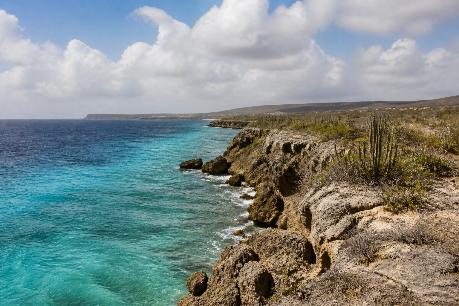 Representative island destination view of Bonaire, with coastline, shoreline geology, regional vegetation, and natural light; not an exact landmark photograph.