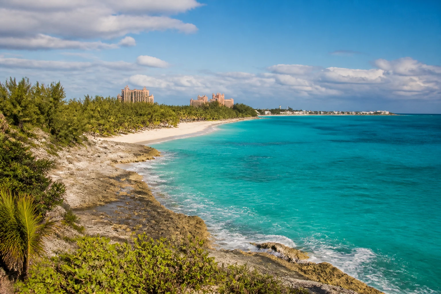 Representative island destination view: Nassau and Paradise Island, Bahamas; coastline and regional vegetation, not an exact landmark photograph.