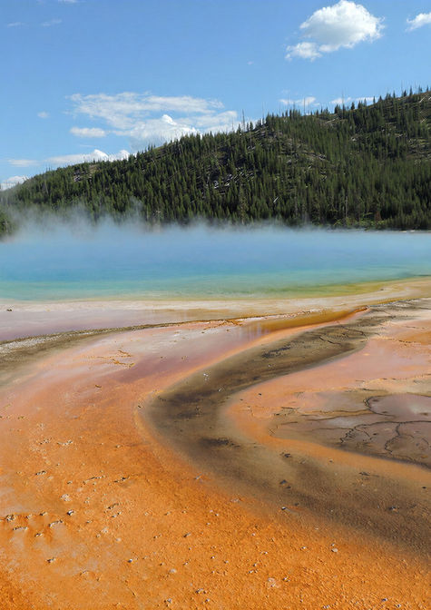 Steaming geothermal basin with pale blue water, orange mineral deposits, and forested hills.