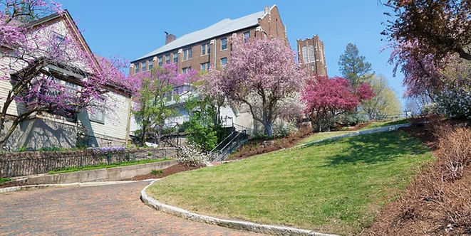 The steep curving brick roadway and flowering trees of Snake Alley in Burlington, Iowa.