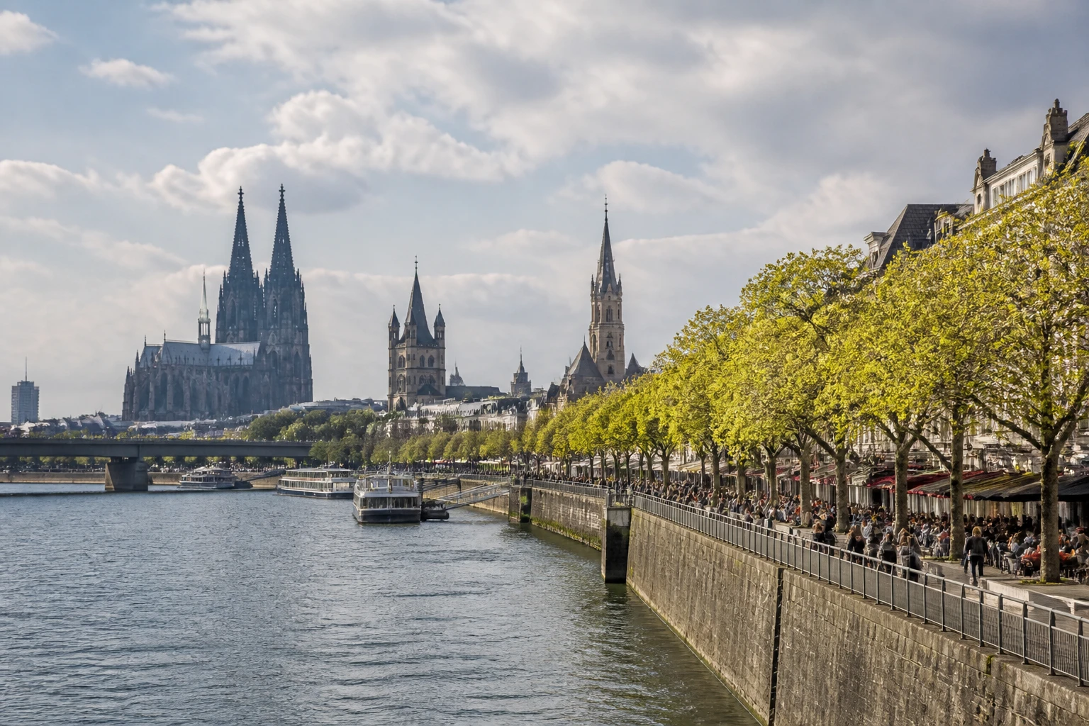 Representative river destination view: Cologne, Germany; inland water, regional terrain, and vegetation, not an exact landmark photograph.