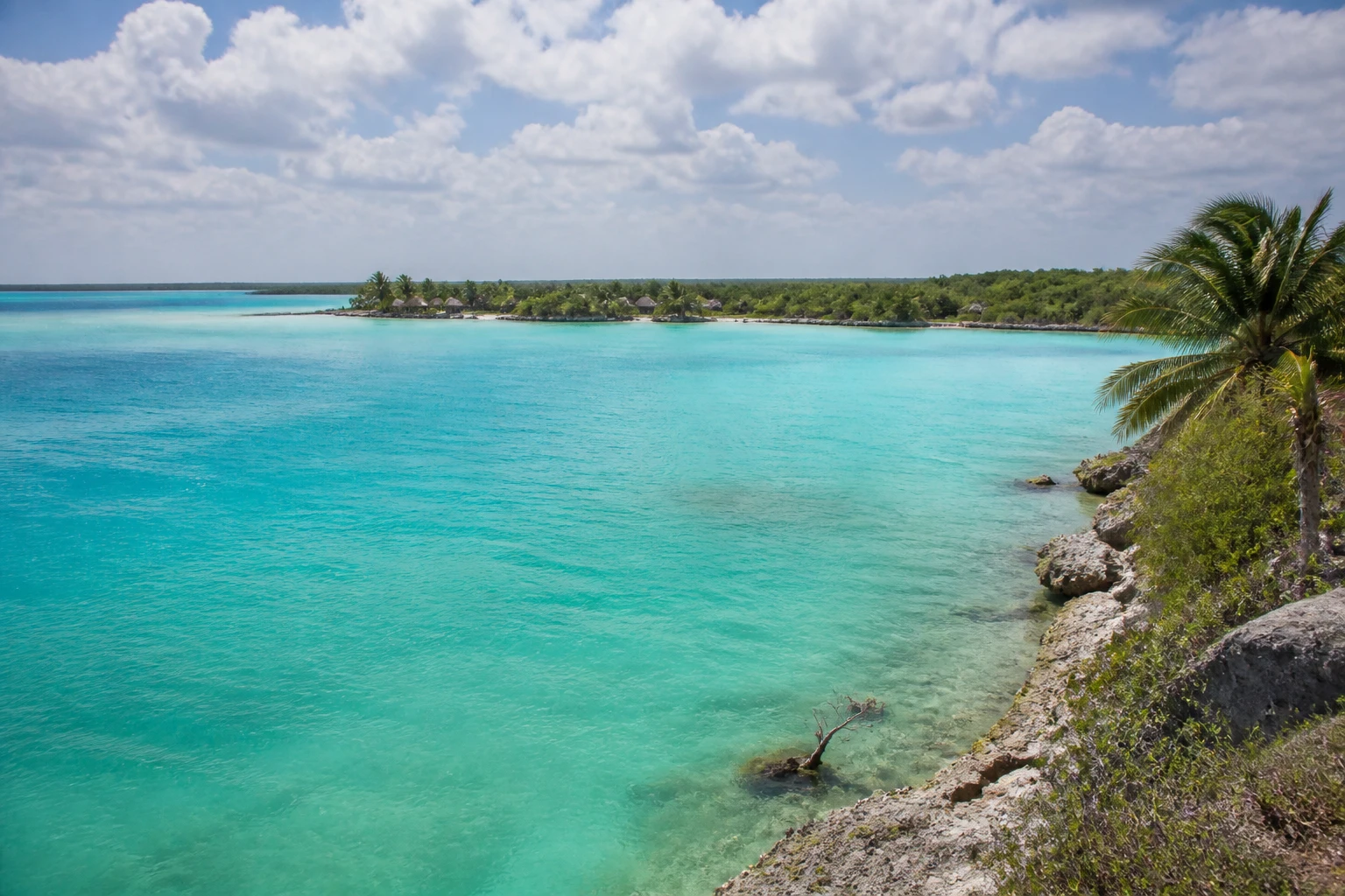 Representative coastal destination view: Bacalar, Mexico; coastline and regional vegetation, not an exact landmark photograph.